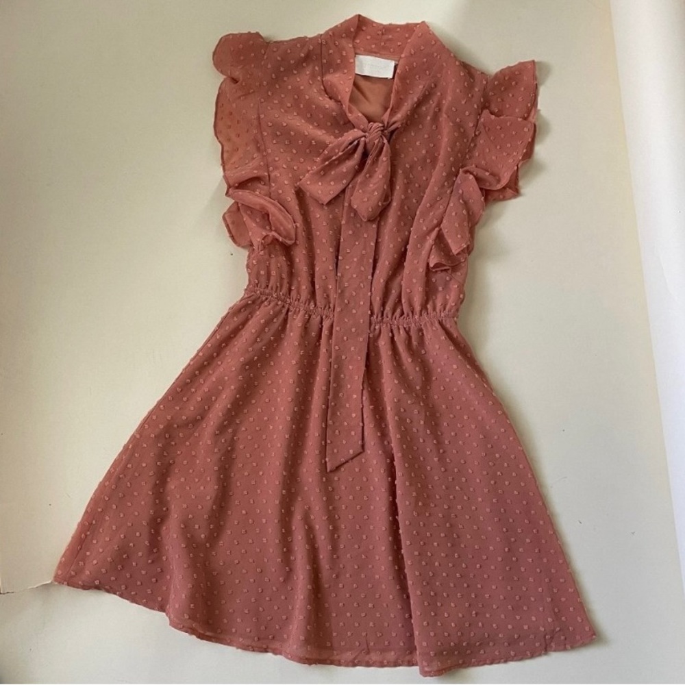Storia Rusty Dark Blush Swiss Dot Ruffle Dress Size S romantic spring mini dress